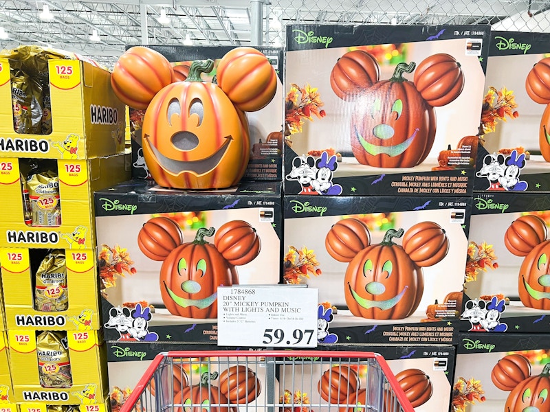 costco disney mickey pumpkin