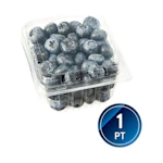 Fresh Blueberries