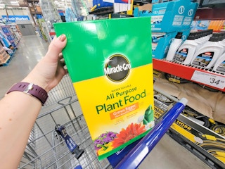 hand holding a large box of miracle gro plant food