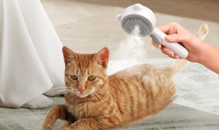 a person using a steam brush on a cat 