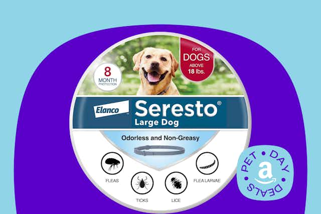  Seresto Flea & Tick Treatment Collars, Up to 41% Off for Amazon Pet Day card image