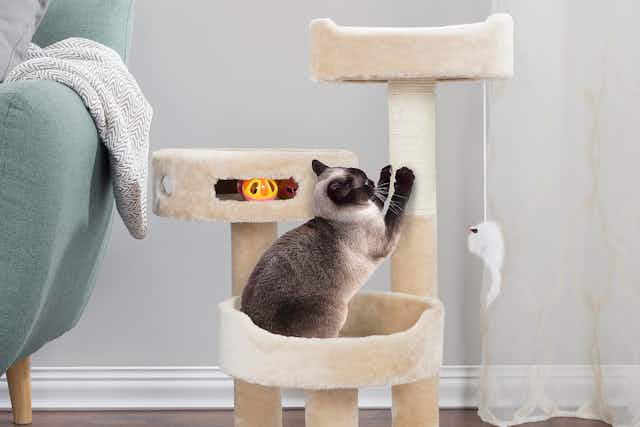 Petmaker 3-Tier Cat Tree, Just $25 Shipped at QVC card image