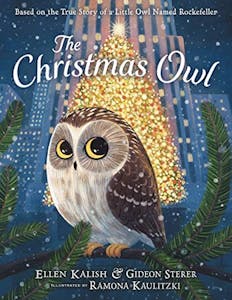 The Christmas Owl Hardcover Book