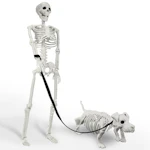 Lighted Human & Dog Skeleton
