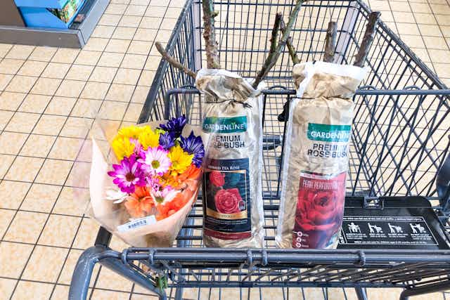 $5 Flower Bouquets, $8.49 Premium Rosebush, and $9 Hanging Basket at Aldi card image
