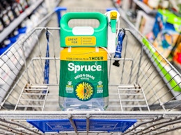 Spruce Weed Killer Starter Kit, Just $16 After Rebates at Walmart (Reg. $40) card image