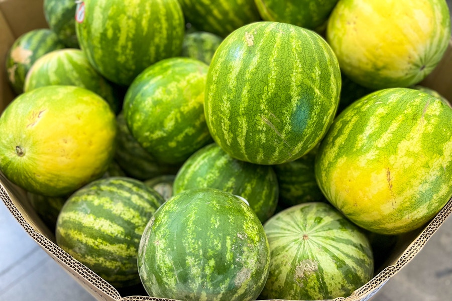 watermelon-walmart-2022-1