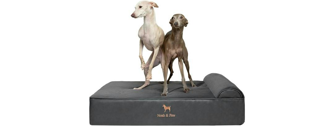 Noah & Paw Orthopedic Dog Bed