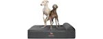 Noah & Paw Orthopedic Dog Bed