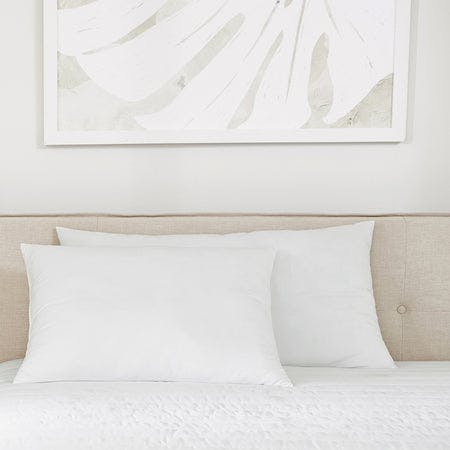 Plush Microfiber Pillow 2-Pack