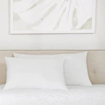 Plush Microfiber Pillow 2-Pack