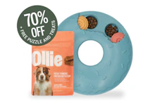 Ollie Dog Food Box + Free Gifts
