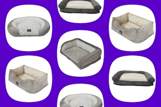wayfair dog bed sale