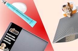 Amazon’s 60% Off Finds: Retinol, Bird Seed, LED Light, and More card image