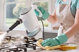 Handheld Steam Cleaner