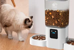 a cat using a cat feeder