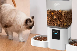 a cat using a cat feeder