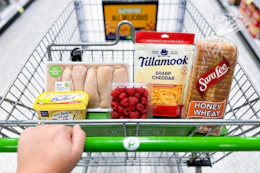 tilamook, sara lee, and more groceries in a publix shopping cart
