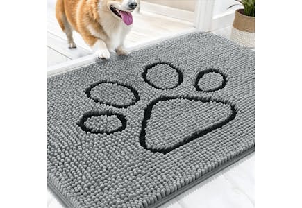 Doormat for Muddy Dog Paws