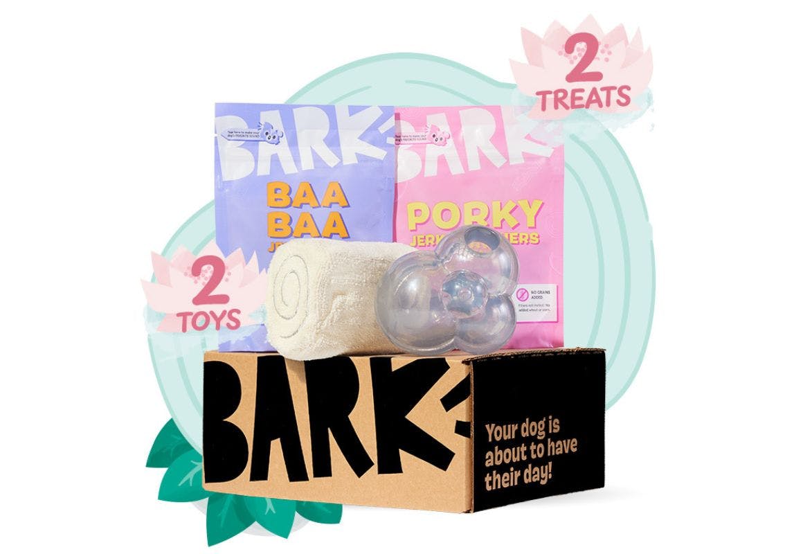 Super Chewer Subscription + Free Gift Set