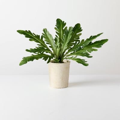 Magnolia Faux Potted Plant