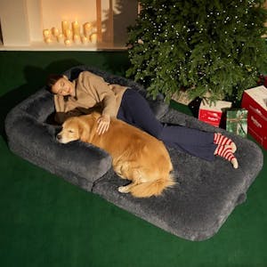 Bedsure Foldable 2-in-1 Dog Bed