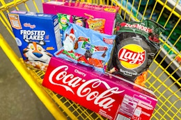 dollar general groceries in a shopping cart
