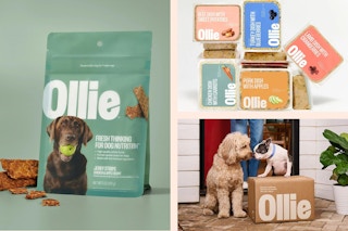 ollie collage free treat offer