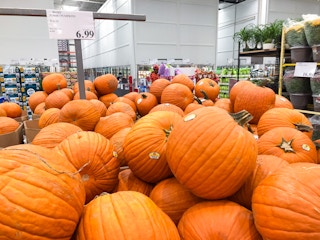 costco jumbo pumpkins with tag 2 1695812401 1695812401