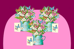 Airpark Pop Up Flower Cards, 3 Packs Amazon