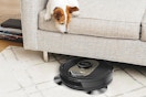 a dog looking at a shark robot vacuum