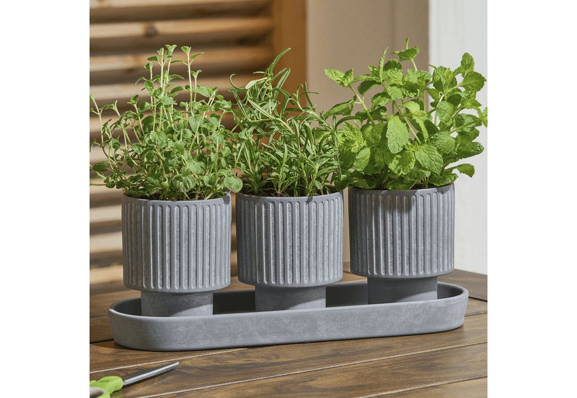 Better Homes & Gardens Herb Planter