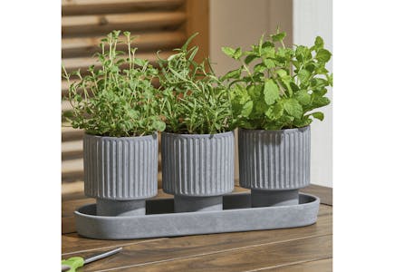 Better Homes & Gardens Herb Planter