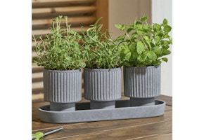 Better Homes & Gardens Herb Planter