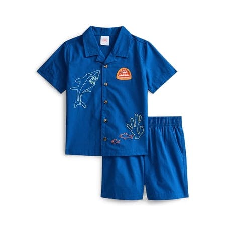 Toddler Kids' Shirt & Shorts Set