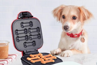 Dog next to Dash dog treat maker machine