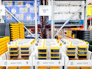 sams-club-mini-totes-2