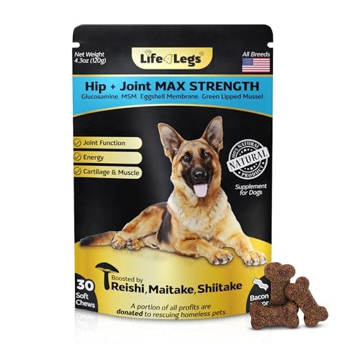 Hip and Joint Supplement for Dogs