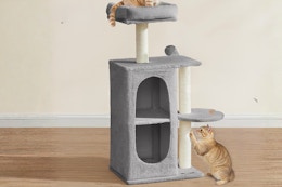 amazon cat tree