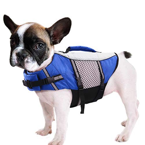 Dog Life Jacket