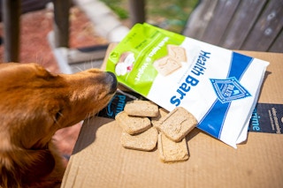 dog sniffing Blue Buffalo Health Bars
