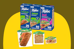 Ziploc Sandwich and Snack Bags B0FF6T95TK