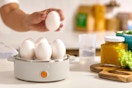 egg cooker