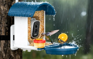 a bird feeder with a camera on a tree