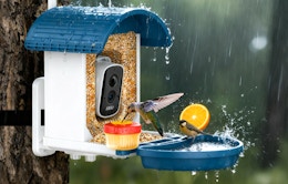 a bird feeder with a camera on a tree