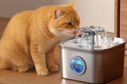 Stainless Steel Cat Water Fountain