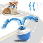 Interactive Dog Toy