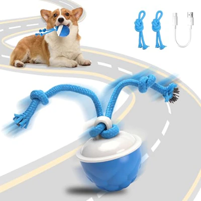 Interactive Dog Toy