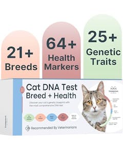 Basepaws Cat DNA Test Kit