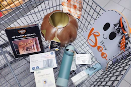 aldi finds in shopping cart